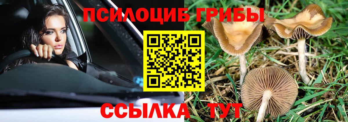 Воскресенск  Псилоцибиновые грибы Psilocybe  Псилоцибиновые грибы ЛСД  Вход с VPN 