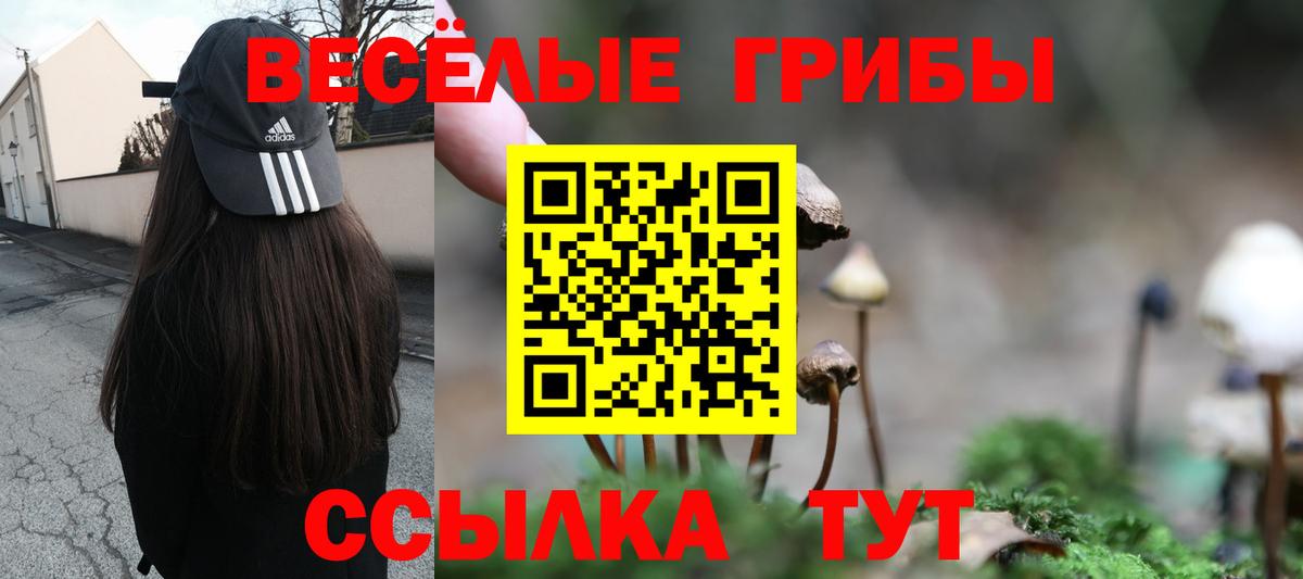 Псилоцибиновые грибы GOLDEN TEACHER Воскресенск